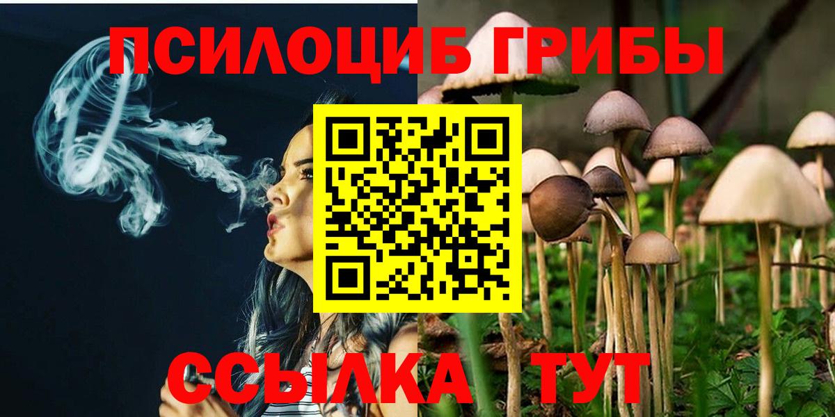 Галлюциногенные грибы мухоморы Звенигород