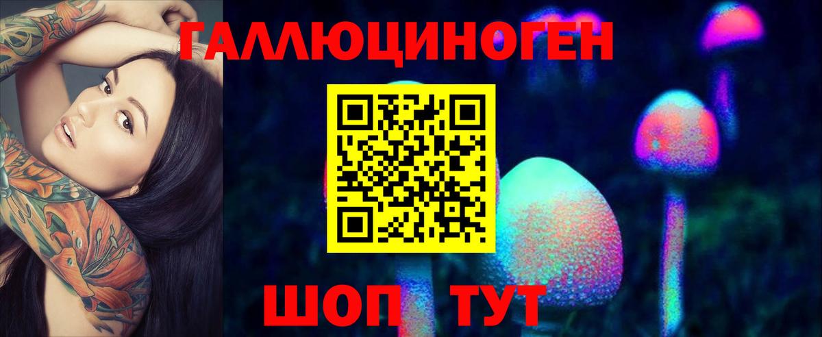 Звенигород  Галлюциногенные грибы прущие грибы  дарнет шоп  Вход с VPN 